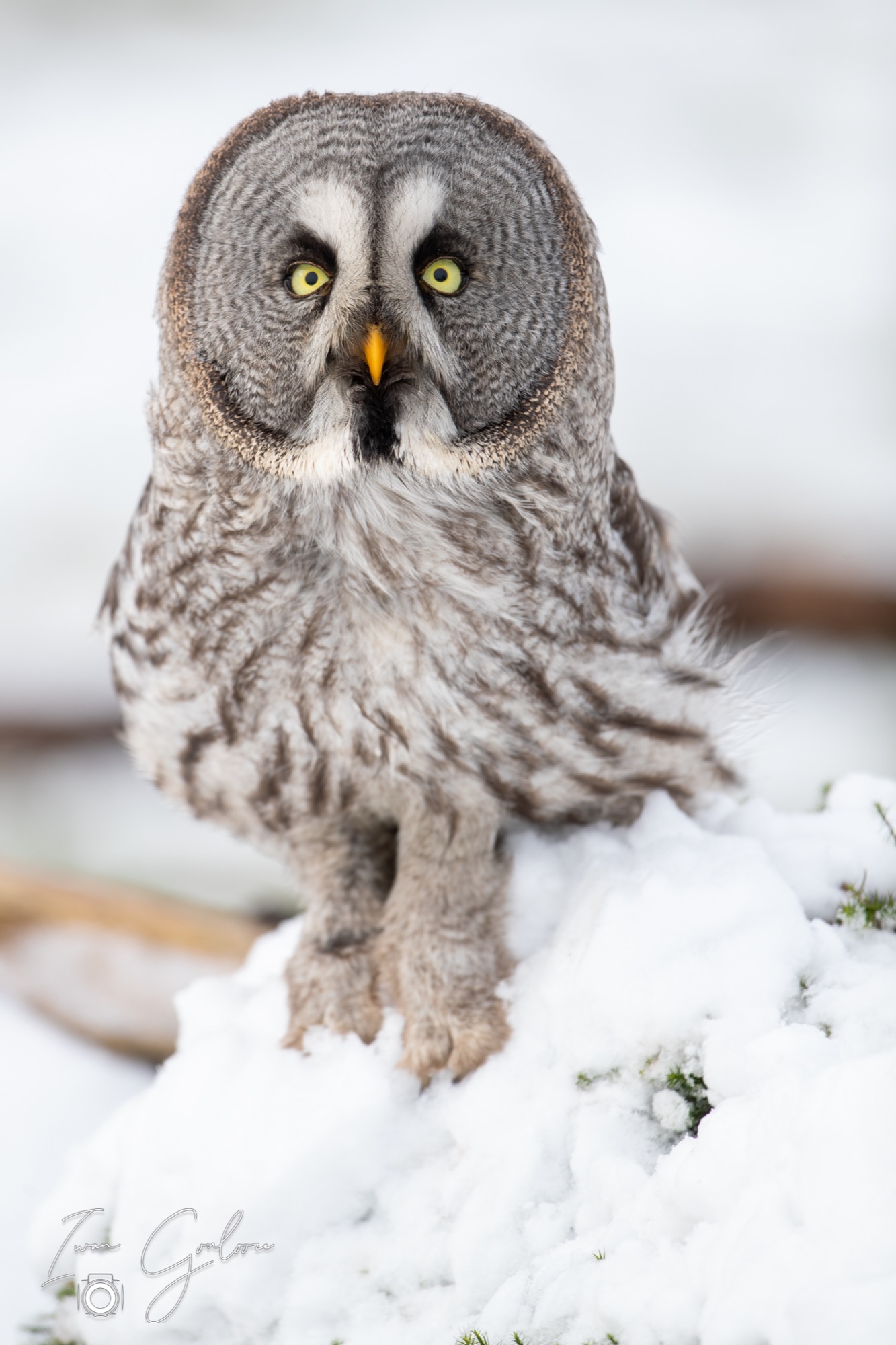 01 april 2022 103526 1DX46925